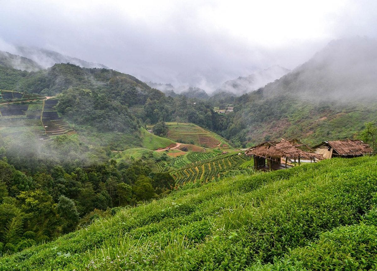 The picturesque scenery of the mountainous region in Thailand